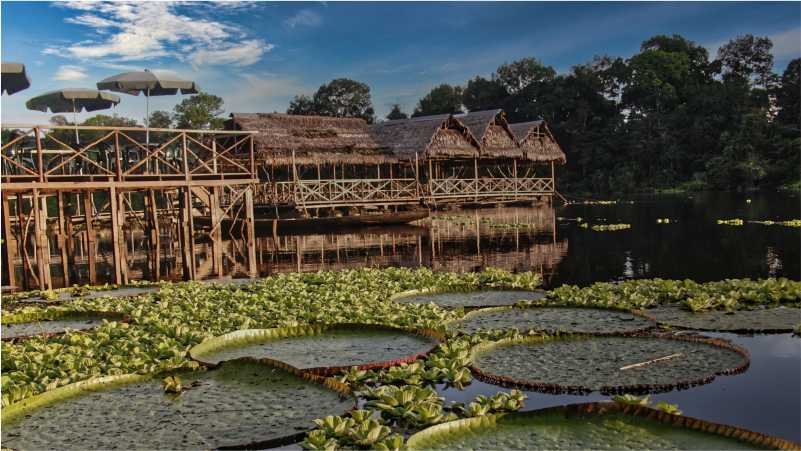 Próxima Expedición AVX